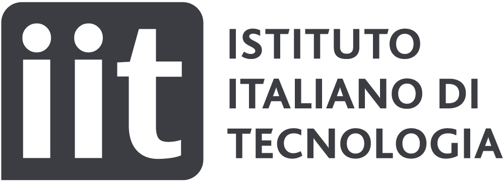 IIT Logo